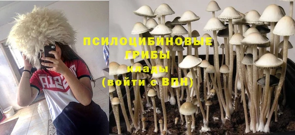 хмурый Нефтегорск