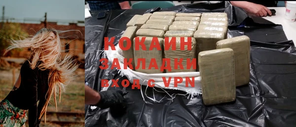 СК Новозыбков