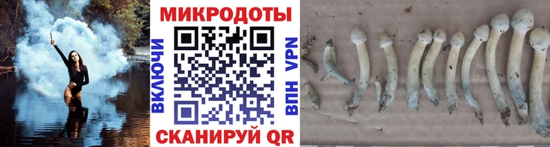 Галлюциногенные грибы Psilocybe  Южноуральск 